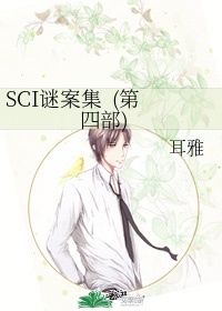 SCI谜案集  (第四部)